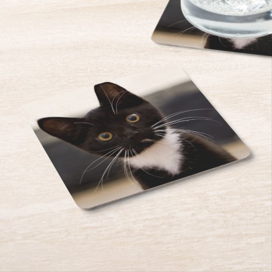 かわいい白黒タキシードの子ネコ スクエアペーパーコースター (アングル)