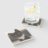 かわいい白黒タキシードの子ネコ ストーンコースター (横)