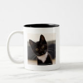 かわいい白黒タキシードの子ネコ ツートーンマグカップ (左)