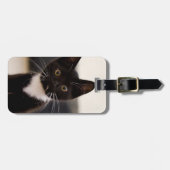 かわいい白黒タキシードの子ネコ ラゲッジタグ (正面横)