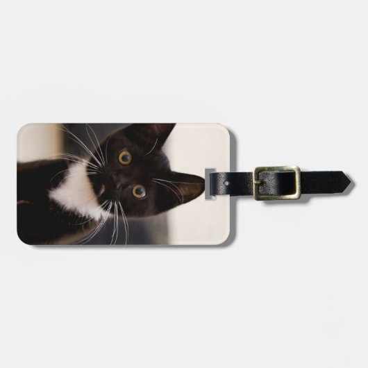 かわいい白黒タキシードの子ネコ ラゲッジタグ (正面横)