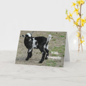 かわいい白黒ベビーヤギ写真悔やみや弔慰 カード (黄色い花)