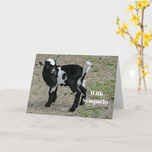 かわいい白黒ベビーヤギ写真悔やみや弔慰 カード (黄色い花)