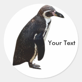 かわいい白黒ペンギンのステッカー名タグ ラウンドシール