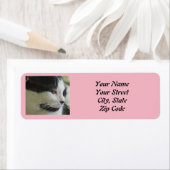 かわいい白黒猫の写真 ラベル (インサイチュ)