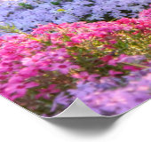 かわいい白黒猫カラフルの花の庭 ポスター (角)