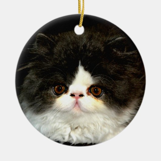 かわいい白黒猫 セラミックオーナメント (正面)