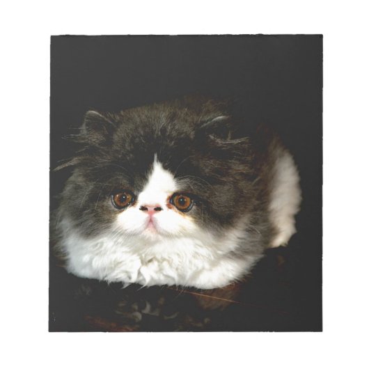 かわいい白黒猫 ノートパッド (正面)