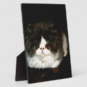 かわいい白黒猫 フォトプラーク (側面)