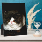 かわいい白黒猫 フォトプラーク (側面)