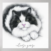 かわいい白黒猫 ポスター (正面)