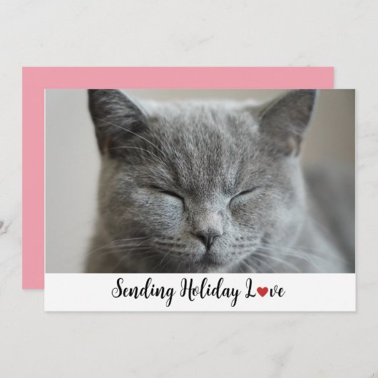 かわいい眠い猫セリングホリデーラブ シーズンカード (正面/裏面)