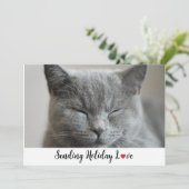 かわいい眠い猫セリングホリデーラブ シーズンカード (スタンド正面)