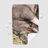 かわいい眠っている豚 ゴルフタオル (インサイチュ)