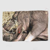かわいい眠っている豚 ゴルフタオル (横)