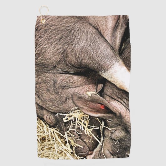 かわいい眠っている豚 ゴルフタオル (正面)