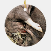 かわいい眠っている豚 セラミックオーナメント (裏面)