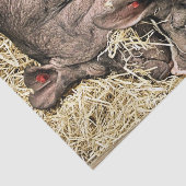 かわいい眠っている豚 薄葉紙 (詳細)