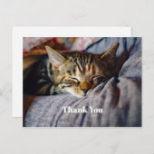 かわいい眠り猫の写真ありがとう ポストカード (正面/裏面)