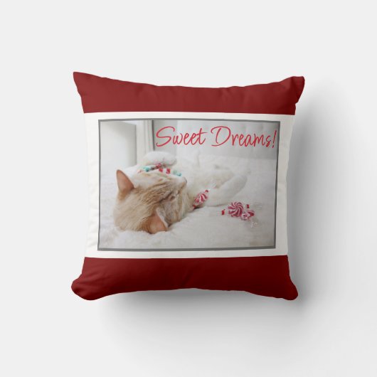 かわいい眠り猫 – 甘い夢 – クリスマス クッション (正面)