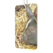 かわいい眠り豚 カーエアーフレッシュナー (左)