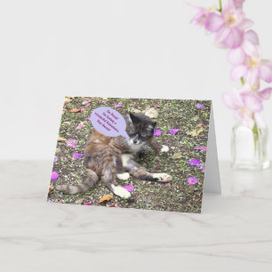 「かわいい眠る子猫/バレンタインの夢」 カード