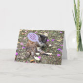 「かわいい眠る子猫/バレンタインの夢」 カード (正面)