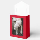 かわいい眠る平和な白い子犬のクリスマス フェイバーボックス (オープン)