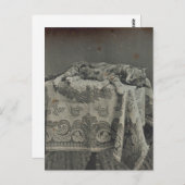 かわいい眠る猫 ヴィンテージ写真 ブランケット ポストカード (正面/裏面)