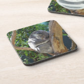 かわいい眠れるコアラinツリー コースター (左側)