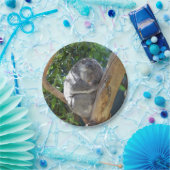 かわいい眠れるコアラinツリー ペーパープレート (パーティー)