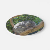 かわいい眠れるコアラinツリー ペーパープレート (アングル)