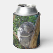 かわいい眠れるコアラinツリー 缶クーラー (缶正面)