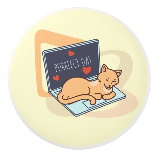 かわいい眠れるコンピューター猫 セラミックノブ (正面)