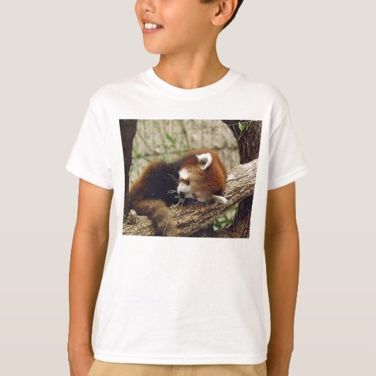 かわいい眠れる赤いパンダ口の中の食べ物 Tシャツ (正面)