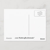 かわいい眠れる赤いパンダ(口に食べ物) ポストカード (裏面)