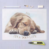 かわいい眠図解入りの、写真付きの犬 薄葉紙 (クラフト)