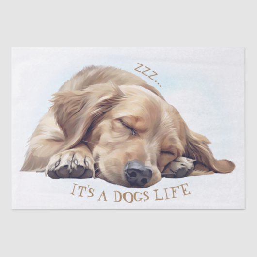 かわいい眠図解入りの、写真付きの犬 薄葉紙 (正面)