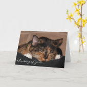 かわいい睡眠猫カード、あなたの考えること… カード (黄色い花)