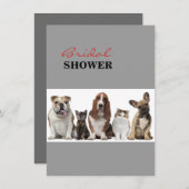 かわいい短い髪猫の友人のバセットハウンドの雄牛犬 招待状 (正面/裏面)