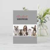 かわいい短い髪猫の友人のバセットハウンドの雄牛犬 招待状 (スタンド正面)