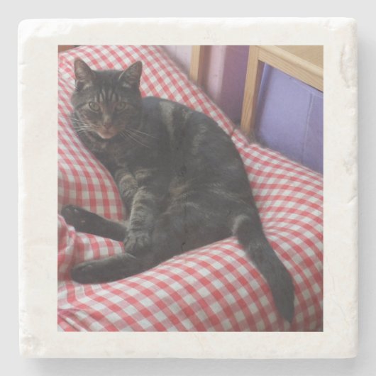 かわいい石のコースター ストーンコースター (正面)