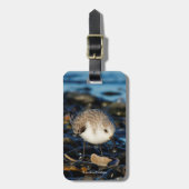 かわいい砂時計がビーチでシーフードを食べる ラゲッジタグ (正面縦)