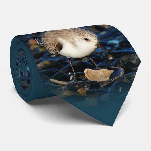 かわいい砂浜の鳥が鳴くビーチ ネクタイ (ロール)