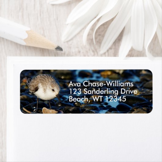 かわいい砂浜の鳥が鳴くビーチ ラベル (インサイチュ)
