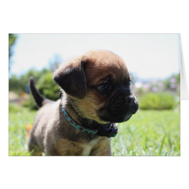 かわいい私はありません (正面横)