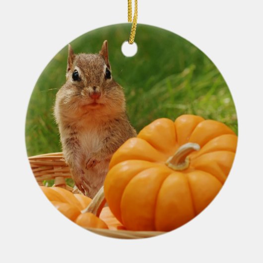 かわいい秋のシマリス セラミックオーナメント (正面)