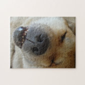 かわいい秋田おもしろい眠り笑顔の犬写真 ジグソーパズル (横)
