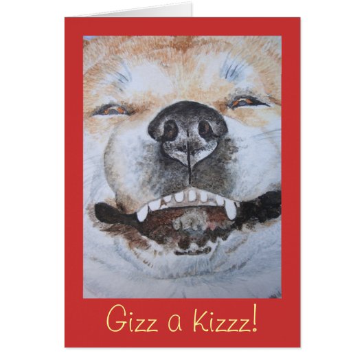 かわいい秋田の笑顔おもしろい犬 (正面)