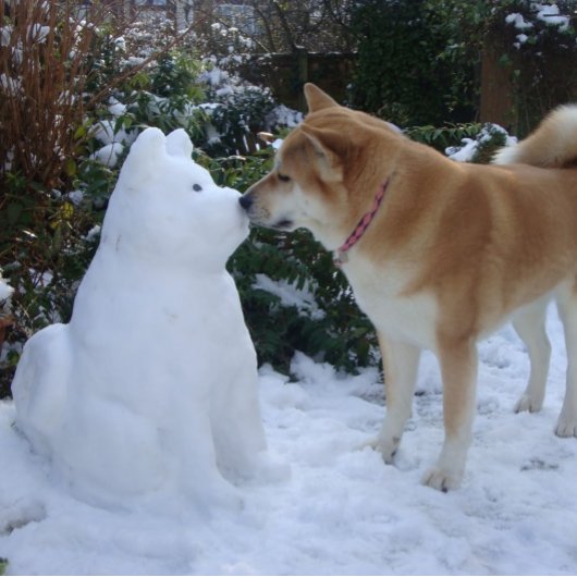 かわいい秋田キスをする雪だるま秋田フォトクリスマス スクエアシール
